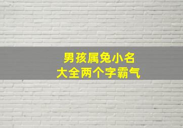 男孩属兔小名大全两个字霸气