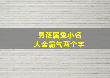 男孩属兔小名大全霸气两个字