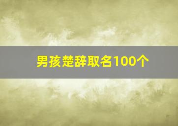 男孩楚辞取名100个