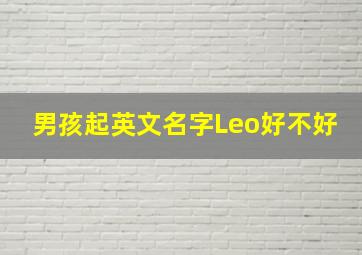 男孩起英文名字Leo好不好