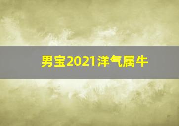 男宝2021洋气属牛