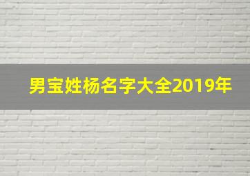 男宝姓杨名字大全2019年