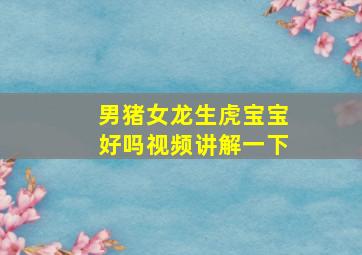 男猪女龙生虎宝宝好吗视频讲解一下