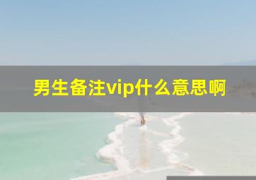 男生备注vip什么意思啊