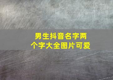 男生抖音名字两个字大全图片可爱