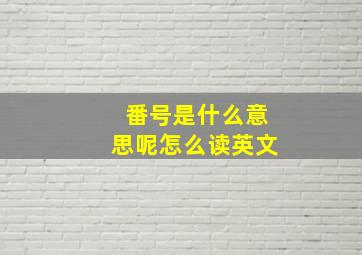 番号是什么意思呢怎么读英文