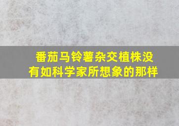 番茄马铃薯杂交植株没有如科学家所想象的那样