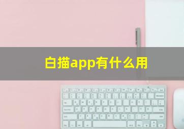 白描app有什么用