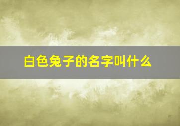 白色兔子的名字叫什么