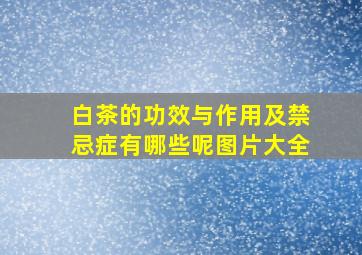 白茶的功效与作用及禁忌症有哪些呢图片大全