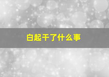 白起干了什么事