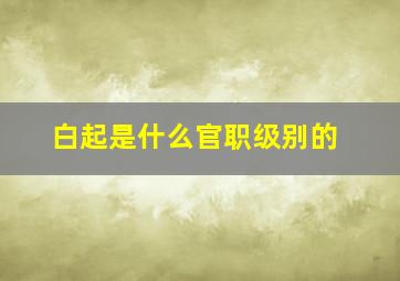 白起是什么官职级别的