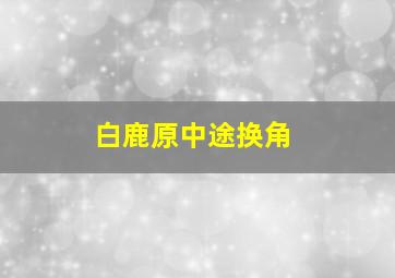 白鹿原中途换角