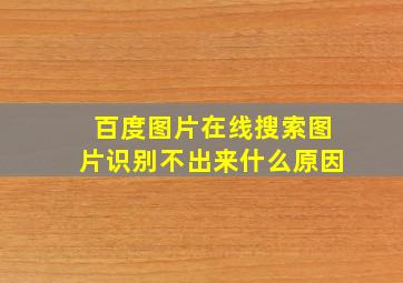 百度图片在线搜索图片识别不出来什么原因