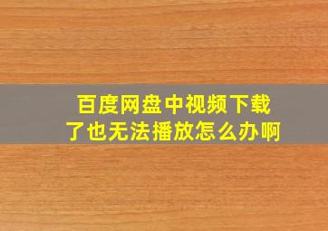 百度网盘中视频下载了也无法播放怎么办啊