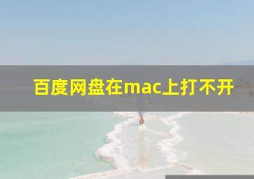 百度网盘在mac上打不开