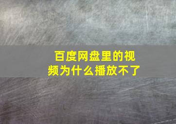 百度网盘里的视频为什么播放不了