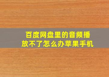 百度网盘里的音频播放不了怎么办苹果手机