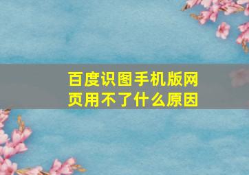 百度识图手机版网页用不了什么原因