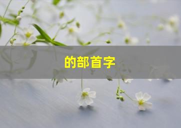 的部首字