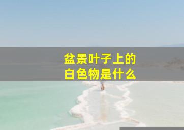 盆景叶子上的白色物是什么