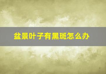 盆景叶子有黑斑怎么办