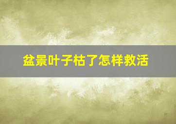 盆景叶子枯了怎样救活