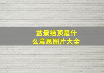 盆景结顶是什么意思图片大全