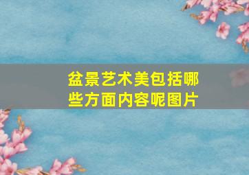 盆景艺术美包括哪些方面内容呢图片