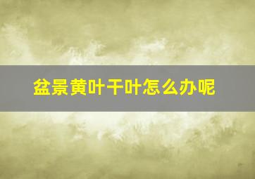 盆景黄叶干叶怎么办呢