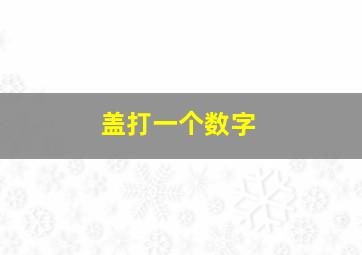 盖打一个数字