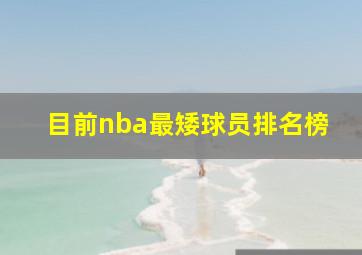 目前nba最矮球员排名榜