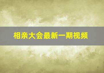 相亲大会最新一期视频