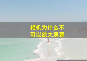 相机为什么不可以放大屏幕