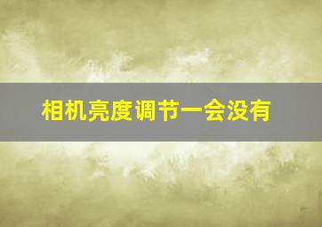 相机亮度调节一会没有