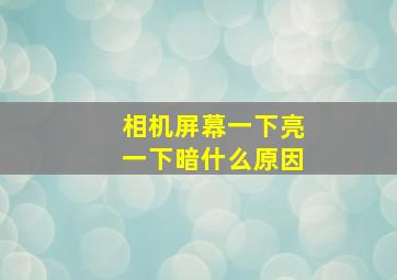 相机屏幕一下亮一下暗什么原因