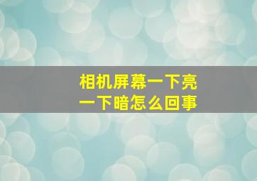 相机屏幕一下亮一下暗怎么回事