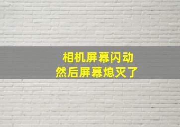 相机屏幕闪动然后屏幕熄灭了