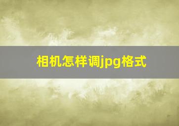 相机怎样调jpg格式