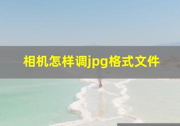 相机怎样调jpg格式文件