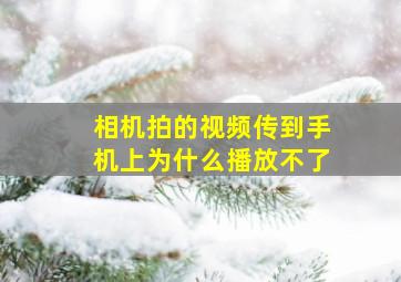 相机拍的视频传到手机上为什么播放不了