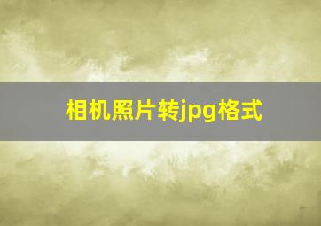 相机照片转jpg格式