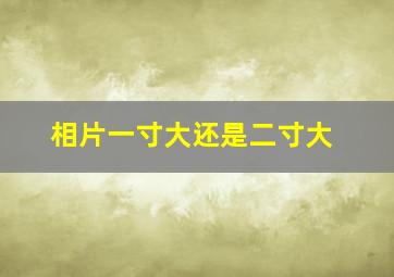 相片一寸大还是二寸大