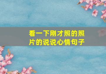 看一下刚才照的照片的说说心情句子