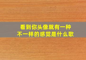 看到你头像就有一种不一样的感觉是什么歌