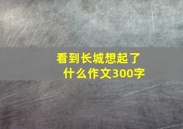 看到长城想起了什么作文300字