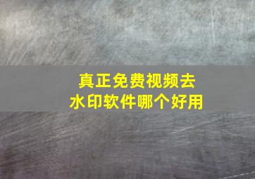 真正免费视频去水印软件哪个好用