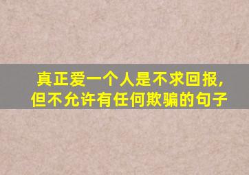 真正爱一个人是不求回报,但不允许有任何欺骗的句子