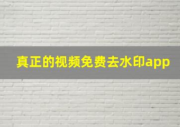 真正的视频免费去水印app