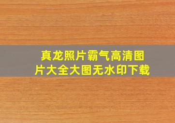 真龙照片霸气高清图片大全大图无水印下载